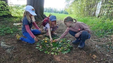 Mathe zum Anfassen: Kinder der Freien Naturschule Ravensburg legen ein Mandala