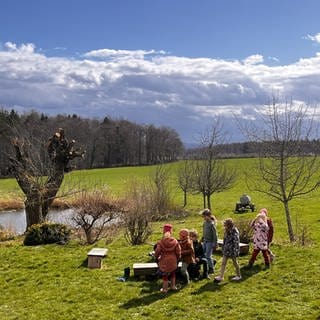 Unterricht im Freien: Kinder der Freien Naturschule Ravensburg erkunden ihre Umwelt