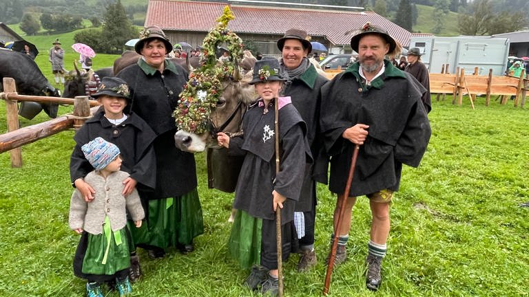 50. Viehscheid in Oberstaufen