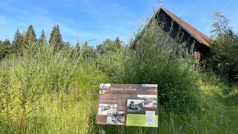 Im Wurzacher Ried soll ein Naturerlebnis- und Beobachtungsturm gebaut werden.