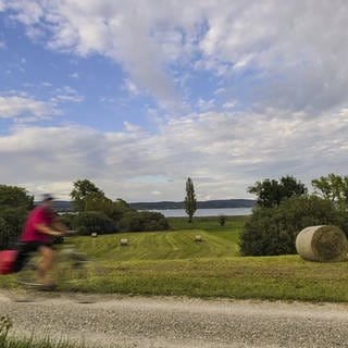 Ein Radfahrer auf dem Bodenseeradweg.