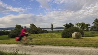 Ein Radfahrer auf dem Bodenseeradweg.