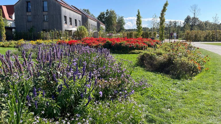 Impressionen auf der Landesgartenschau.