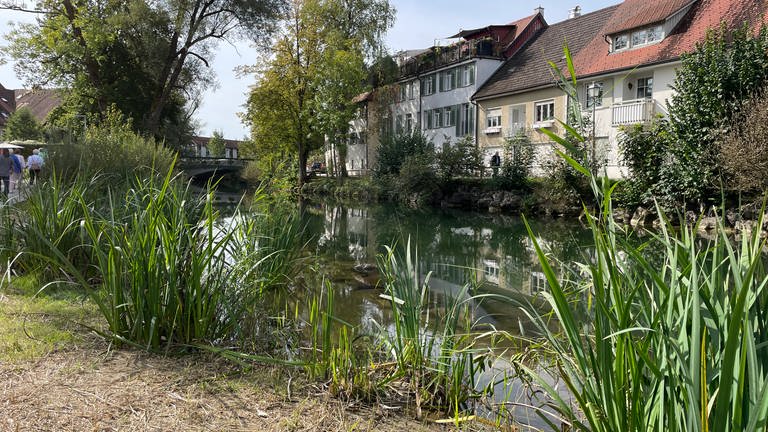 Wangener Altstadt: Schöne Aussicht vom Landesgartenschau-Gelände.