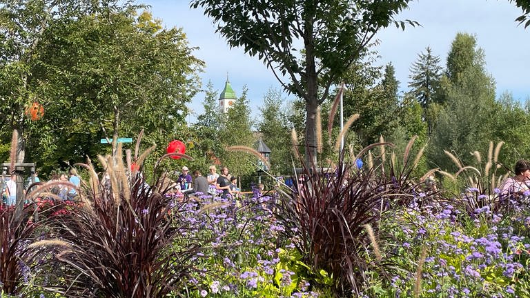 Prächtige Blumen stehen im Mittelpunkt jeder Landesgartenschau, auch in Wangen.