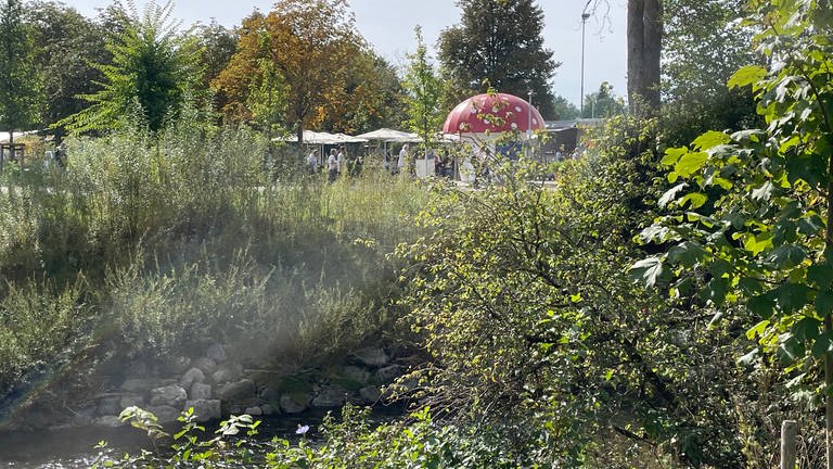 Der "Milchpilz": Noch ein Wahrzeichen der Landesgartenschau in Wangen.