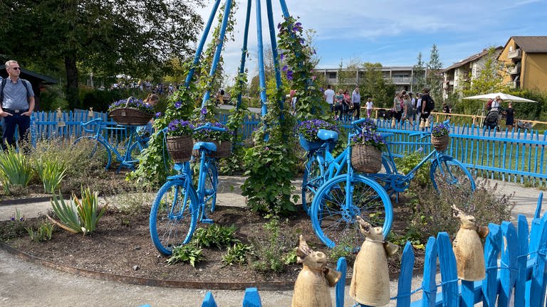 Künstlerische Installation auf der Landesgartenschau.