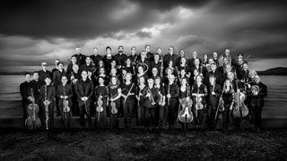 Die Musikerinnen und Musiker der Bodensee Philharmonie mit Sitz in Konstanz