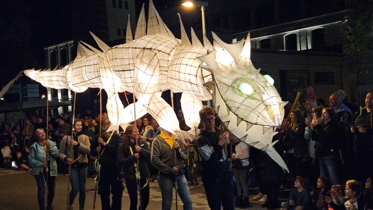 Lichterfest auf der Landesgartenschau in Wangen im Allgäu