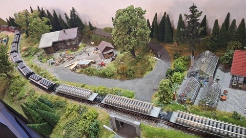 Ein Güterzug fährt durch grüne oberschwäbische Landschaften en miniature