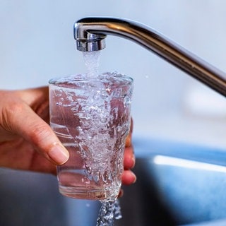 Trinkwasser läuft aus einem Wasserhahn in ein Glas. Trinkwasser aus dem Bodensee wird teurer