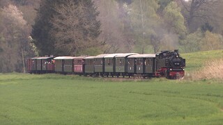 Eine historische Schmalspurbahn fährt durch die Landschaft