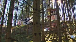 Protest gegen Kiesabbau im Altdorfer Wald (Archiv)