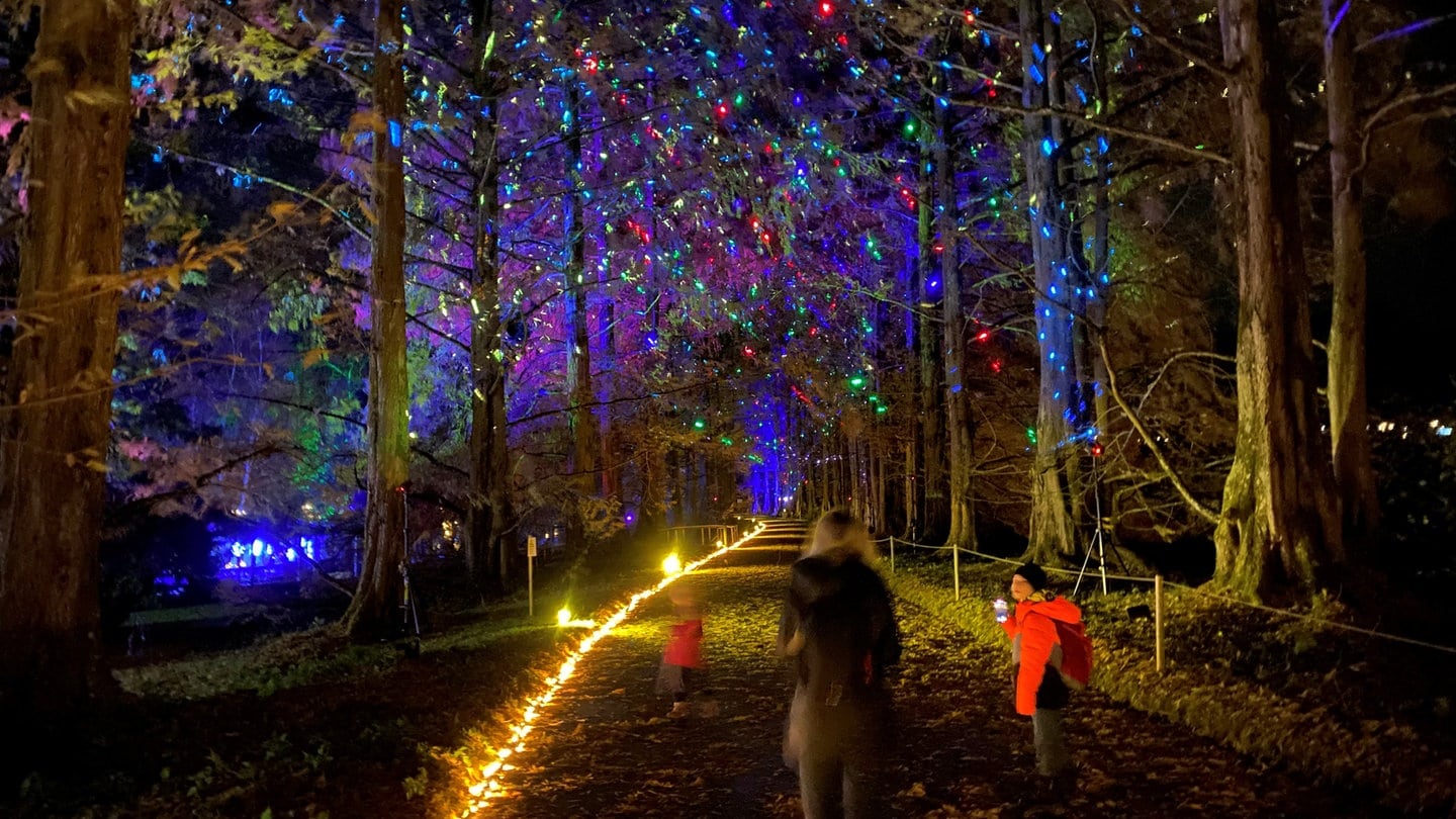 Lichterzauber auf der Mainau beim Christmas Garden.