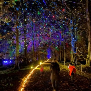 Lichterzauber auf der Mainau beim Christmas Garden.