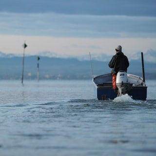 Ein Berufsfischer fährt vor Fischbach auf den Bodensee hinaus.