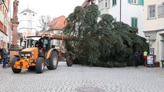 Weihnachtsbaum Aufbau