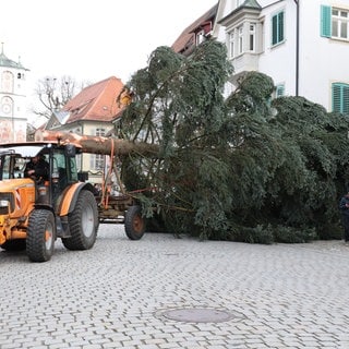 Weihnachtsbaum Aufbau