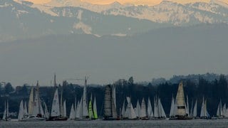 Die "Regatta der Eisernen" auf dem Bodensee vor Konstanz.