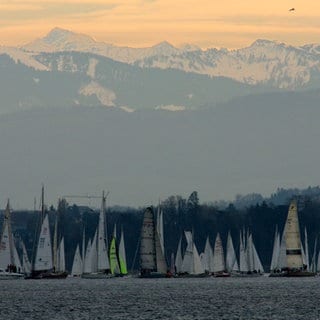 Die "Regatta der Eisernen" auf dem Bodensee vor Konstanz.