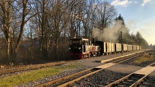 Die Öchsle-Museumsbahn fährt am Bahnhof in Warthausen ein.