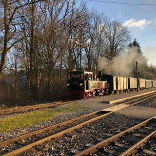 Die Öchsle-Museumsbahn fährt am Bahnhof in Warthausen ein.