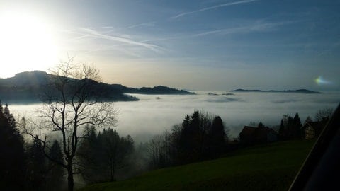 Nebel im November am Bodensee. Während es im November laut Wetterwarte Süd in den Tälern neblig war, schien in den Höhen die Sonne.