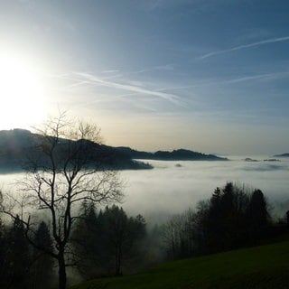 Nebel im November am Bodensee. Während es im November laut Wetterwarte Süd in den Tälern neblig war, schien in den Höhen die Sonne.