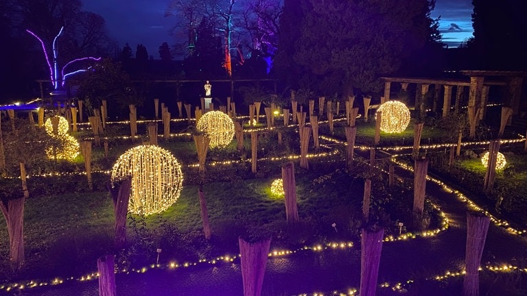 Expedition in die Heimat: Weihnachten am Bodensee