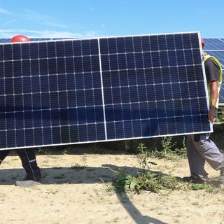 Arbeiter tragen ein Solarmodul.