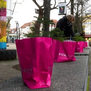 Vor dem Café Eckpunkt in Laupheim stehen die Miet-Christbäume in pinken Einkaufstüten. Christbäume mieten statt kaufen und wegwerfen - das ist das Konzept von "Rent-a-Bäumle"