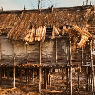 Ein Haus der Pfahlbauten wurde durch Orkan Lothar in Mitleidenschaft gezogen.