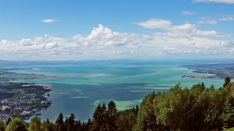 Panoramaausblick auf den Bodensee bei einer Algen-Blüte 2022 (Archivbild)