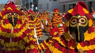 Die Hansele Radolfzell dürfen natürlich nicht fehlen.