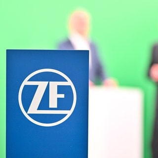 ZF prüft Zukunft der "Division E" – Verkauf nicht ausgeschlossen (Symbolbild)