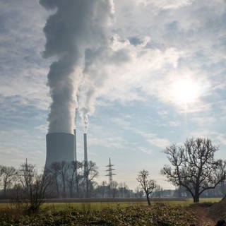 Kohlekraftwerk Heilbronn aus der Ferne mit Dampfsäule