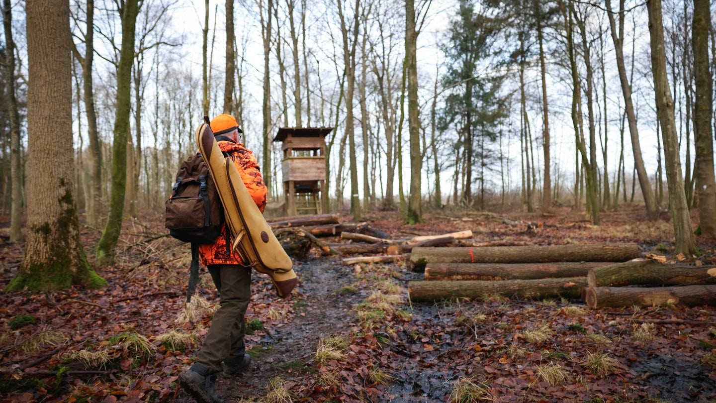 Jagdverpachtung wird künftig ausgeschrieben SWR Aktuell