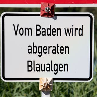 Schild: Vom Baden wird abgeraten: Blaualgen