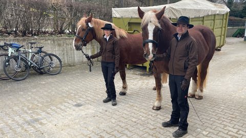 Am Trappensee in Heilbronn finden anlässlich des Pferdemarkts verschiedenste Pferdeprämierungen statt.