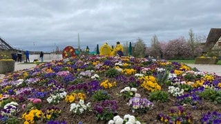 Verregnete Saisoneröffnung im Freizeitpark Tripsdrill 