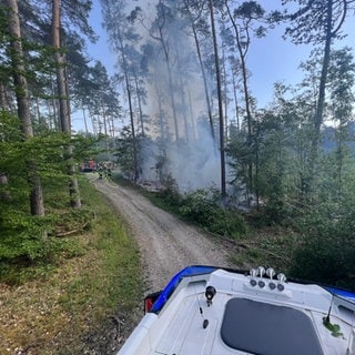 Rund drei Hektar Wald waren vom Brand betroffen.