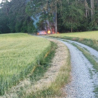 Am Wochenende hat es erneut drei Brände im Wald bei Tauberbischofsheim (Main-Tauber-Kreis) gegeben, diesmal am Hammberg. Zuvor hatte es innerhalb einer Woche gleich sechs Mal am benachbarten Edelberg gebrannt. Die Polizei vermutet Brandstitung.