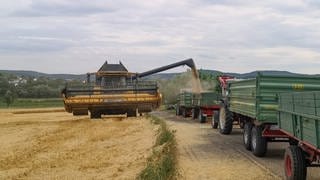 Ein Mähdrescher entlädt sein frisch gemähtes Getreide auf einen landwirtschaftlichen Anhänger. Symbolbild.