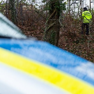 Ein Polizist steht an einem Hang im Wald, im Vordergrund unscharf zu sehen, die Motorhaube eines Polizeiautos (Symbolbild)