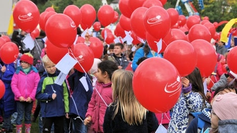 Rund 800 Kinder aus den Grundschulen werden auch in diesem jahr wieder durch Wertheim (Main-Tauber-Kreis) ziehen, wenn wieder der Kinderumzug stattfindet. (Archivbild)