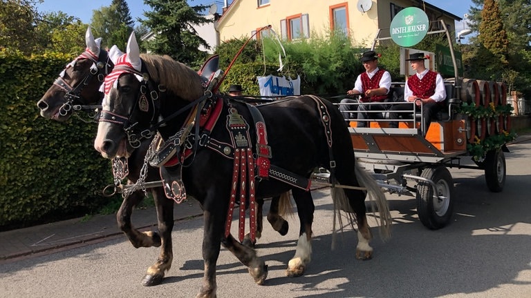 Der Festumzug zum Auftakt des 200-jährigen Jubiläums der Michaelismesse in Wertheim (Main-Tauber-Kreis)