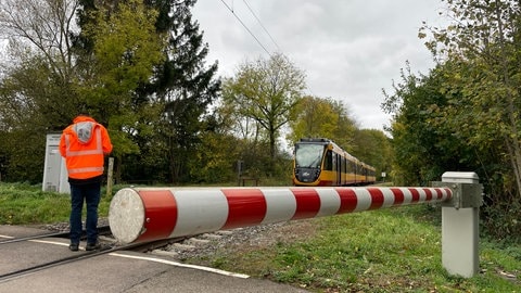 Leingarten: Stadtbahn ist mit Baum kollidiert