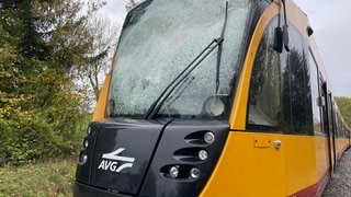 Stadtbahn mit zerborstener Windschutzscheibe nach Kollision mit Baum