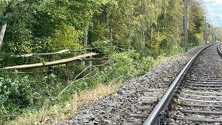 Stadtbahnunfall bei Leingarten: Baum nach Sturm auf Gleise gekippt