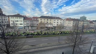 Rund 600 Streikende aus dem Handel, dem öffentlichen Dienst und der AOK waren am Donnerstag in Heilbronn auf der Straße